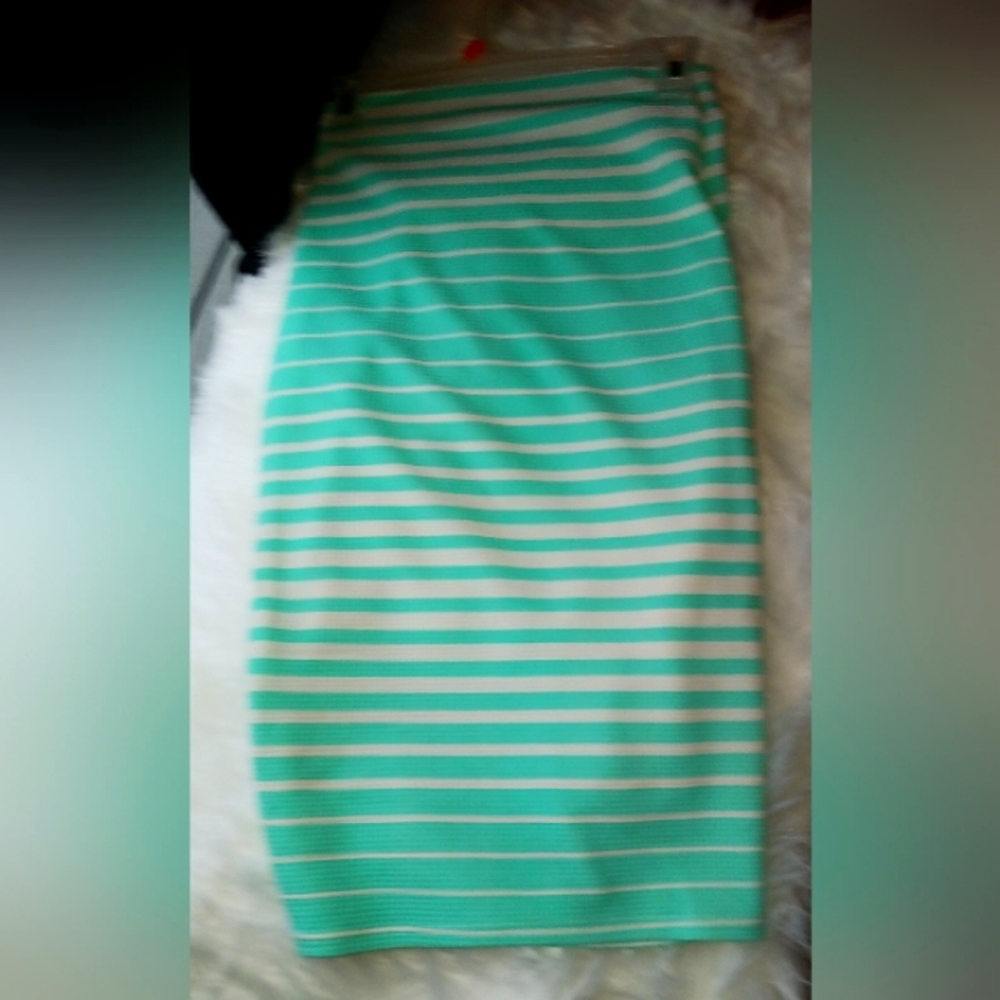 Sea Foam Green & White Pencil Skirt